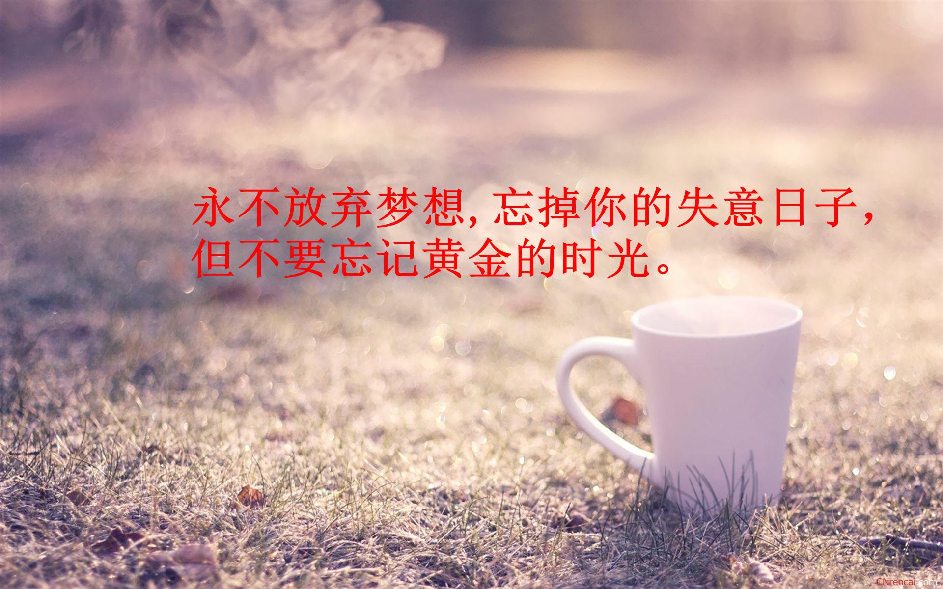 有關奮斗的名言警句
