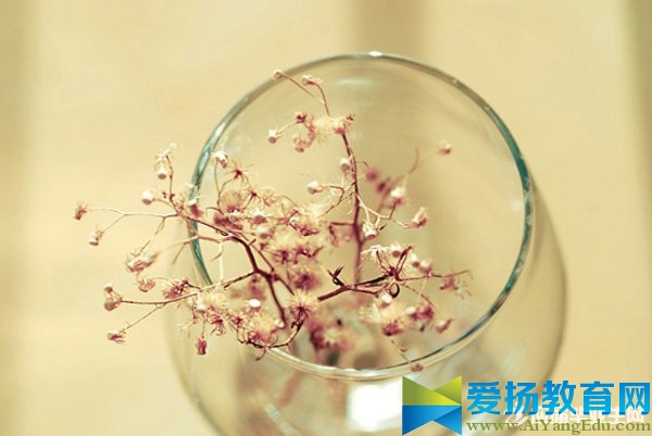 周末問(wèn)候語(yǔ)圖片精美的