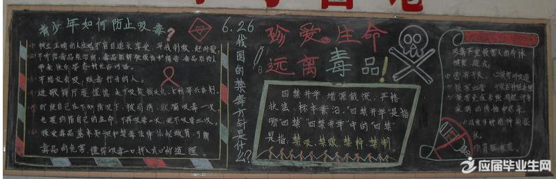 關于禁毒的黑板報資料大全