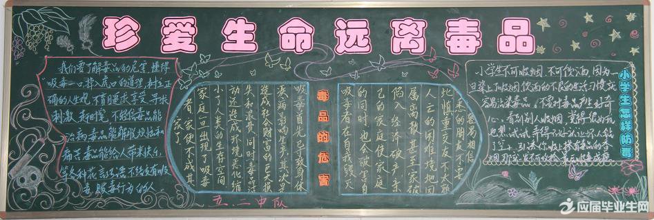 中學關于禁毒的黑板報內容資料