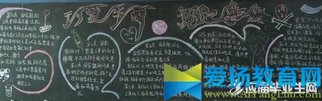 關于小學珍愛生命黑板報