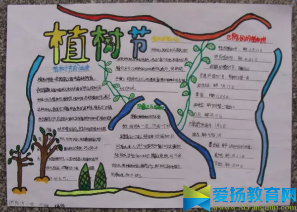 植樹節手抄報內容圖片
