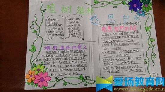 植樹節手抄報得獎作品2017