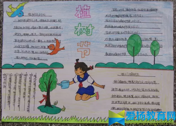 幼兒園大班植樹節手抄報圖片