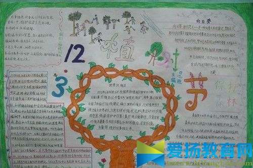 慶植樹節手抄報2017