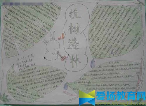 2017小學植樹節手抄報圖片