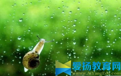 梅雨季節注意事項大全