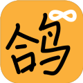曲項(xiàng)向天鴿