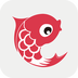 小鯉魚育兒