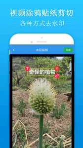 去水印吧