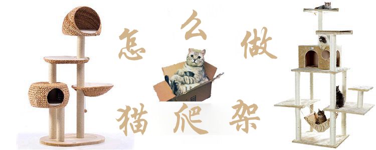 怎么做貓爬架0
