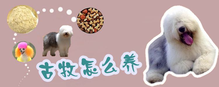 古牧怎么養(yǎng)