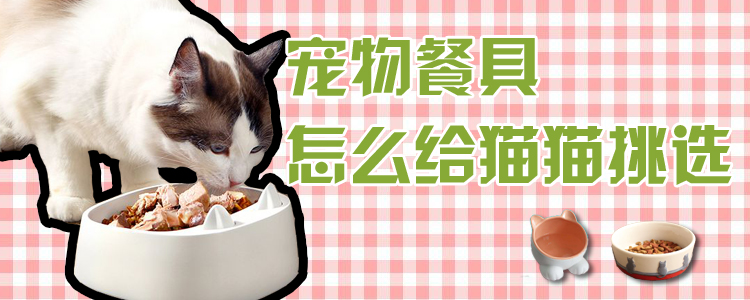 寵物餐具怎么給貓貓挑選