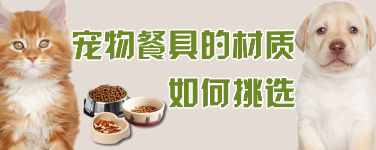 寵物餐具的材質(zhì)如何挑選