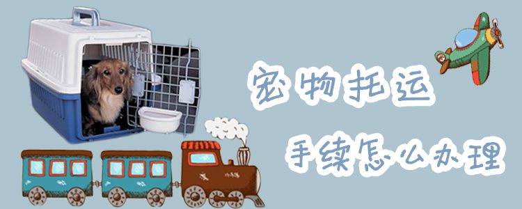 寵物托運手續怎么辦理