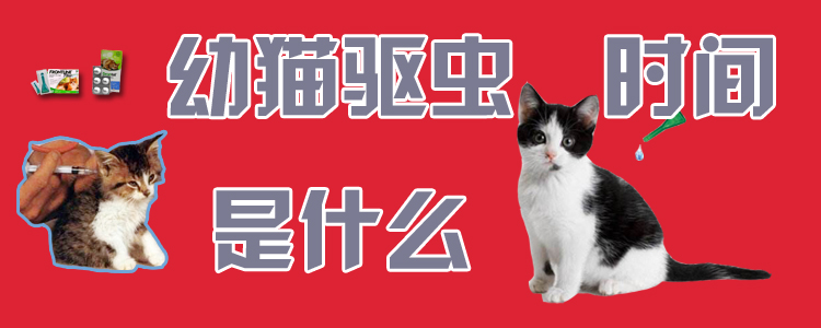 幼貓驅(qū)蟲時(shí)間是什么