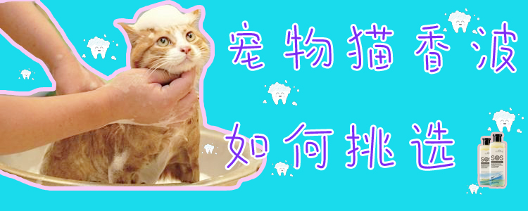 寵物貓香波如何挑選