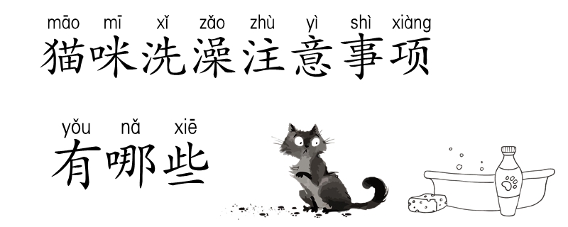貓咪洗澡注意事項有哪些