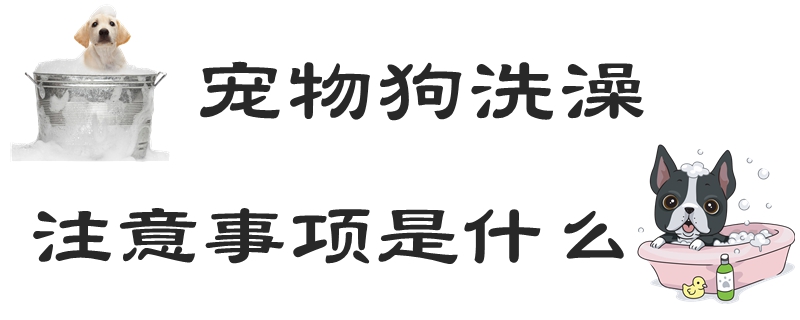 寵物狗洗澡注意事項(xiàng)是什么