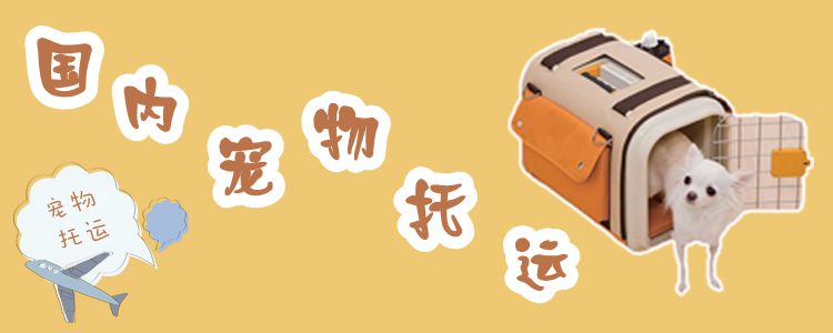 國內(nèi)寵物托運