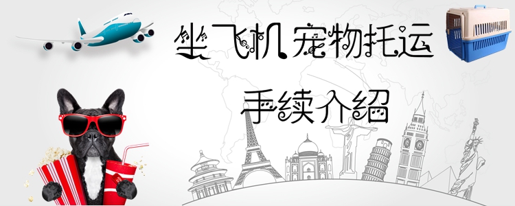 坐飛機寵物托運手續介紹