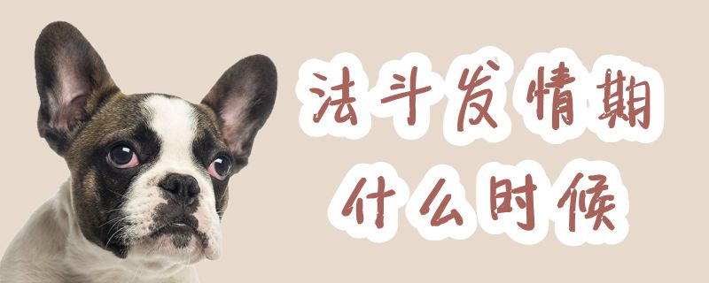 法斗發情期什么時候