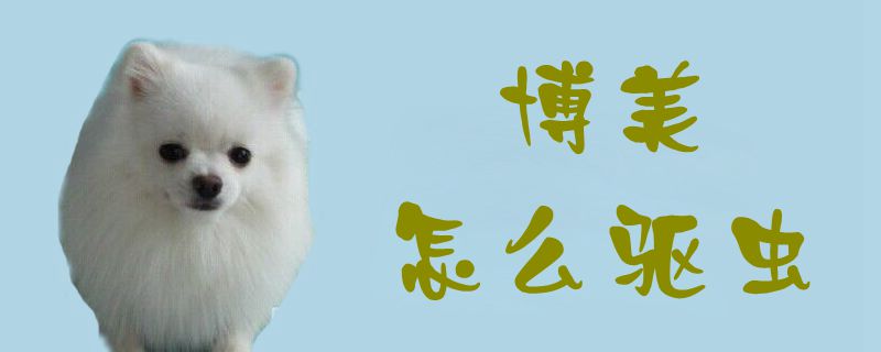 博美怎么驅蟲1