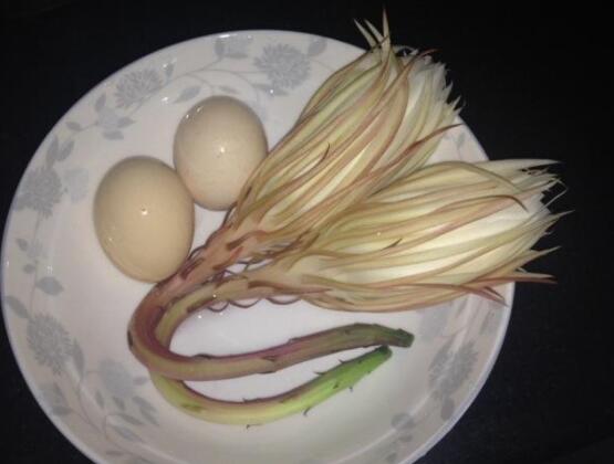 新鮮曇花怎么吃，泡茶喝最為簡單食用(價值高)