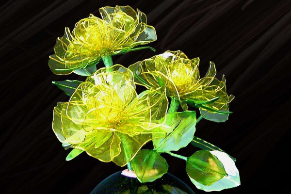 水晶花花語是什么，不同顏色花語含義不同