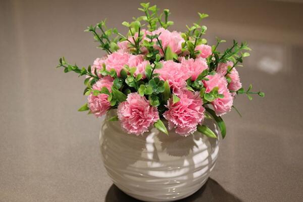 怎么讓康乃馨快速開花，康乃馨快速開花技巧