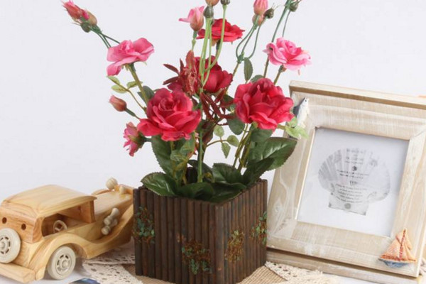 玫瑰盆栽怎么養(yǎng)，4步教你養(yǎng)好玫瑰花
