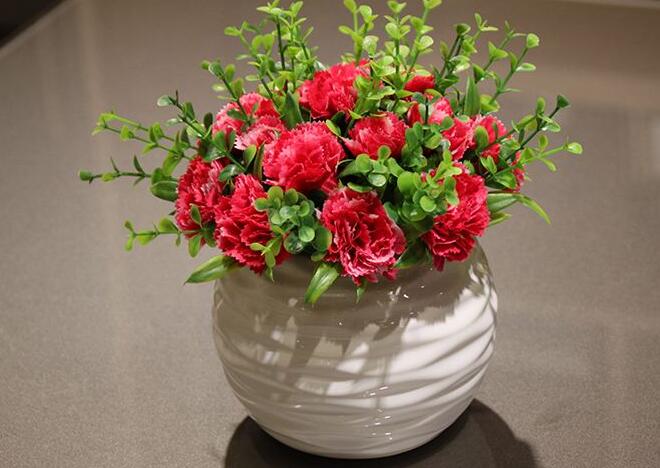 康乃馨一年開幾次花（一次），盤點(diǎn)一年四季開花的養(yǎng)殖方法