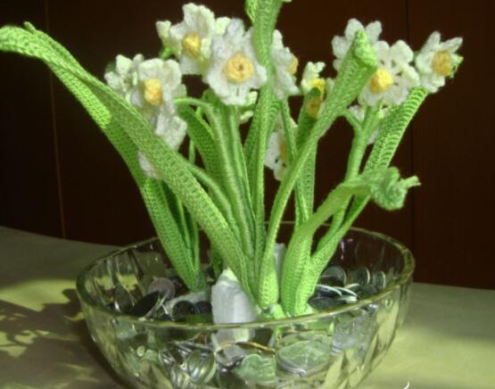 水仙花水養(yǎng)怎么選盆，選圓形、橢圓形、淺盆、淺盤最為合適