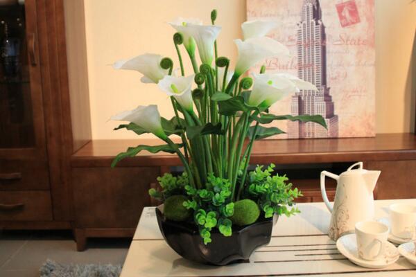馬蹄蓮開花后怎么處理，花后1~2周進(jìn)行修剪