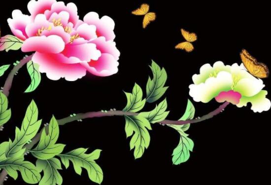 牡丹花為什么不能進(jìn)家門，生長(zhǎng)環(huán)境不適/風(fēng)水氣勢(shì)強(qiáng)大(危害性強(qiáng))