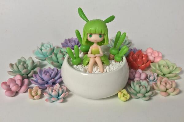 碧光環怎么種植，4步即可完成碧光環的種植