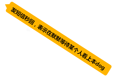 我不是單身狗